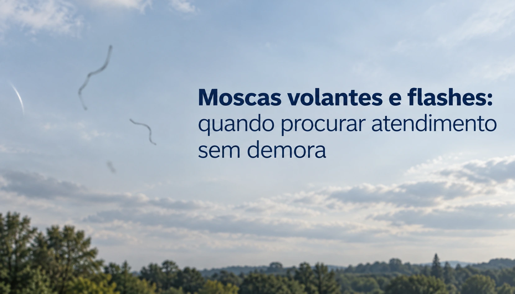 Moscas volantes e flashes: quando procurar atendimento sem demora